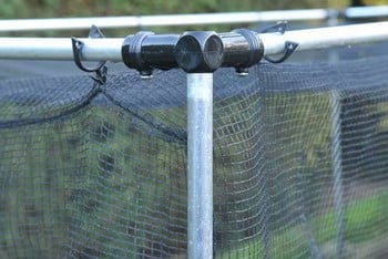 Harrod Stormproof (Natural 1.5m H) Vegetable Cage