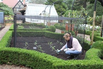 Harrod Vintage Fruit & Vegetable Cage 1.5m High - Matt Black