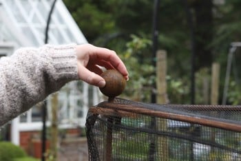 Harrod Vintage Fruit & Vegetable Cage 1.5m High - Natural Rust