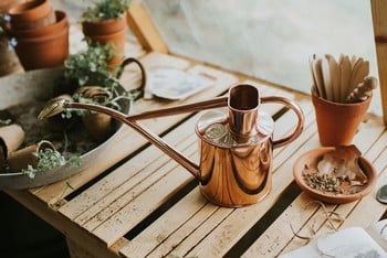 Haws Copper Indoor and Seedling Watering Can