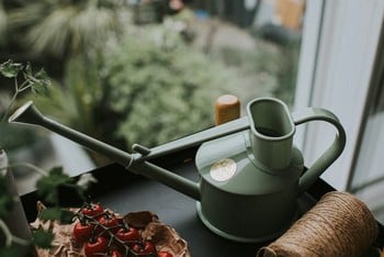 Haws Handy Indoor Watering Can (Green)