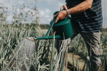 Haws Heavy Duty Plastic Watering Can