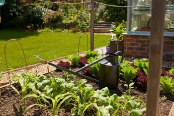 Haws Warley Fall Graphite Watering Can (9 Litre)