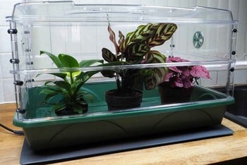 Large Propagator with Height Extender