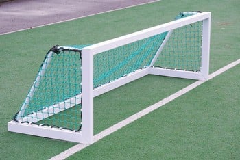 Mini Hockey Training Goal