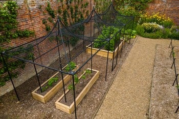 Peak Roof Steel Fruit Cage