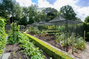 Peak Roof Steel Fruit Cage