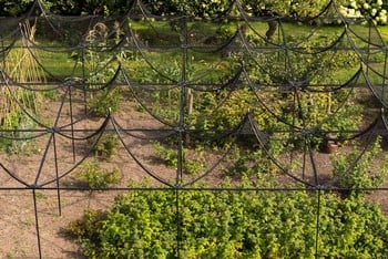 Peak Roof Steel Fruit Cage