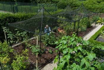 Peak Roof Steel Fruit Cage