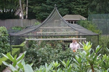 Peak Roof Steel Fruit Cage