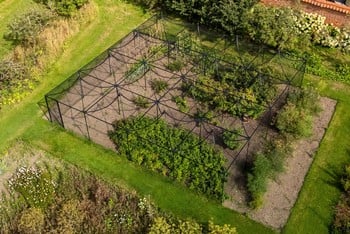 Peak Roof Steel Fruit Cage