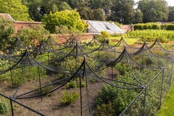 Peak Roof Steel Fruit Cage