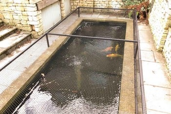 Raised Steel Pond Cover