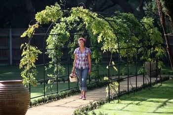 Roman Garden Pergolas