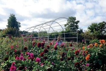 Roman Garden Pergolas in Silk Grey