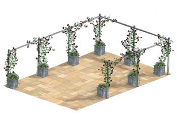 Rose Colonnade Rose Colonnade