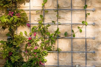 Southwold Decorative Wall Trellis Panels