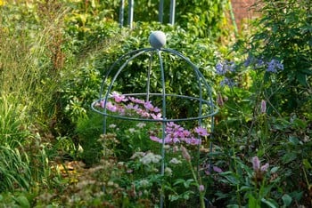 Southwold Lobster Pot Plant Support