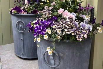 Southwold Round Planters