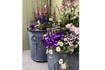Southwold Round Planters