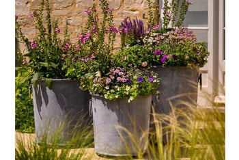 Southwold Round Planters