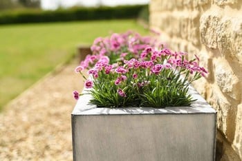 Southwold Trough Metal Planter