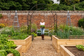 Standard Wooden Raised Beds