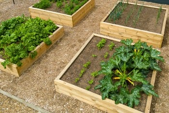 Standard Wooden Raised Beds