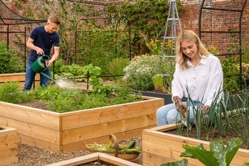 Standard Wooden Raised Beds