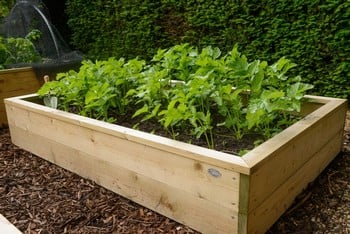 Standard Wooden Raised Beds