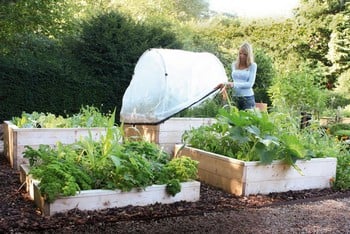 Standard Wooden Raised Beds