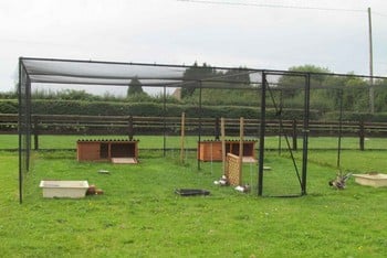 Steel Chicken Cages & Poultry Cages