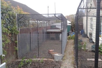 Steel Chicken Cages & Poultry Cages