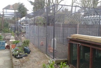 Steel Chicken Cages & Poultry Cages