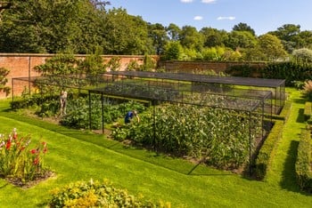 Steel Fruit Cages