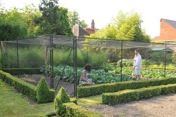 Steel Fruit Cages