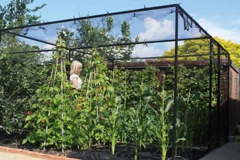 Steel Fruit Cages