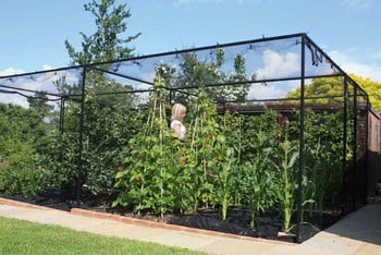 Steel Vegetable Cage with Butterfly Net (2m H)