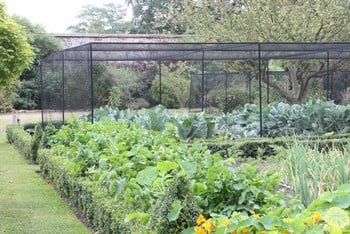 Steel Vegetable Cage with Butterfly Net (2m H)