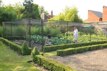 Steel Vegetable Cage with Butterfly Net (2m H)