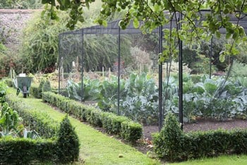 Steel Vegetable Cage with Butterfly Net (2m H)