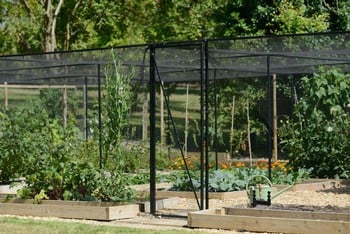 Steel Vegetable Cage with Butterfly Net (2m H)