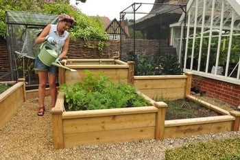 Superior Wooden Raised Beds