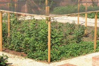 Timber Fruit Cages Timber Fruit Cages