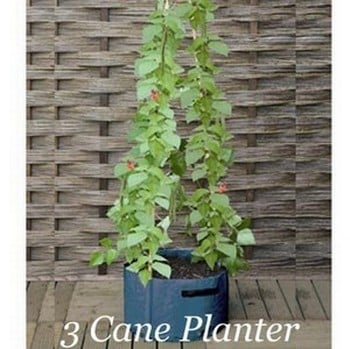 3  Cane Patio Planters (pack of 2)