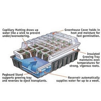 80 cell Self-Watering Seed Starting System