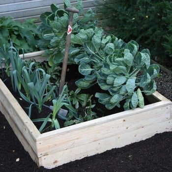 Allotment Capping & Fixings