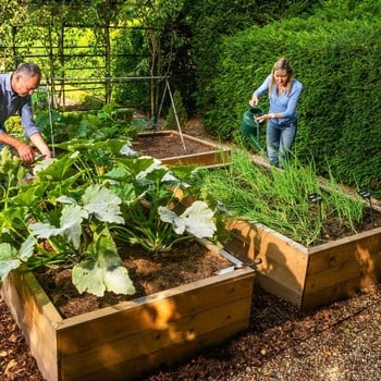 Allotment Wooden Raised Beds Allotment Wooden Raised Beds