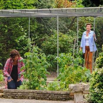 Aluminium Vegetable Cage with Butterfly Netting (2m H) Aluminium Vegetable Cage with Butterfly Netting (2m H)