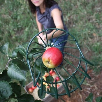 Apple Picker